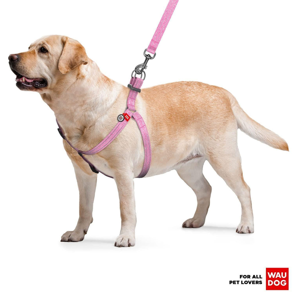 QR Code Dog Harness