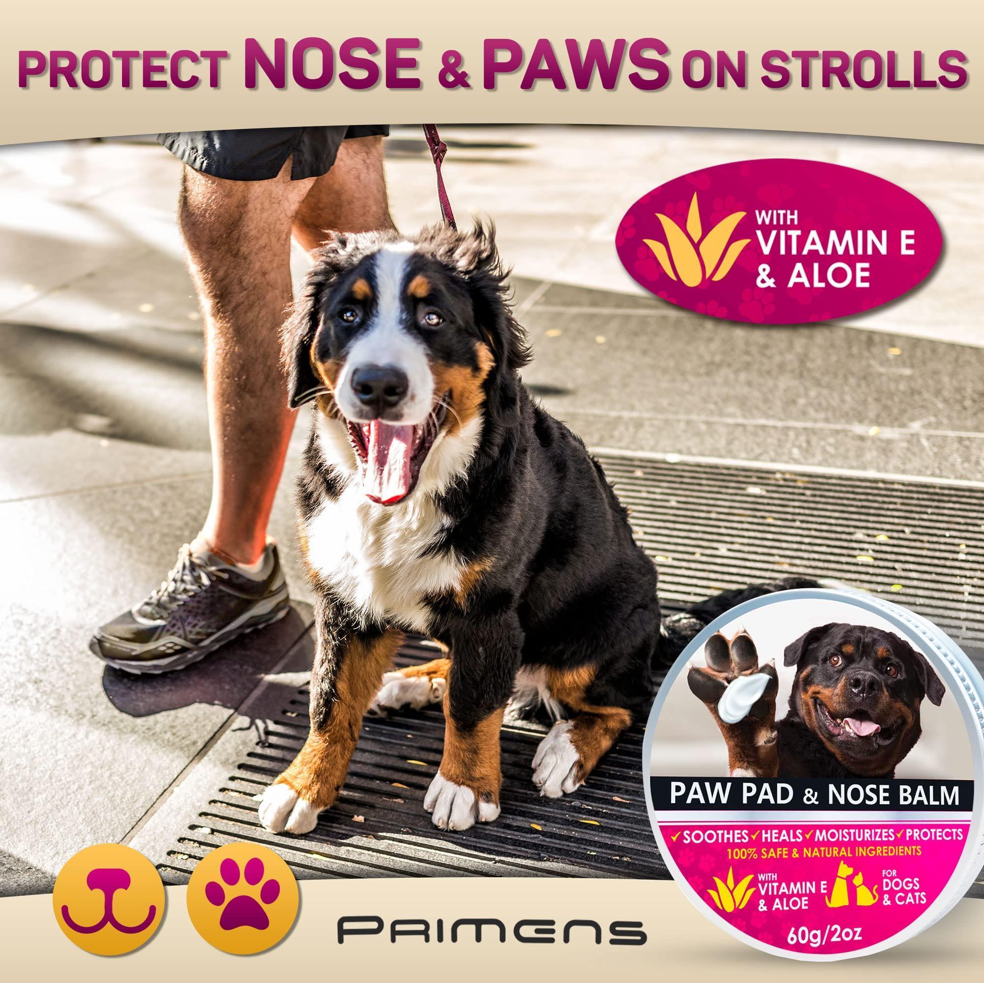 Natural Paw Soothing Balm