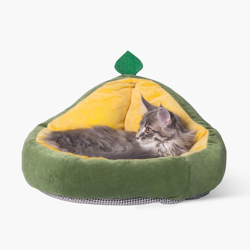 Avocado Pet Bed